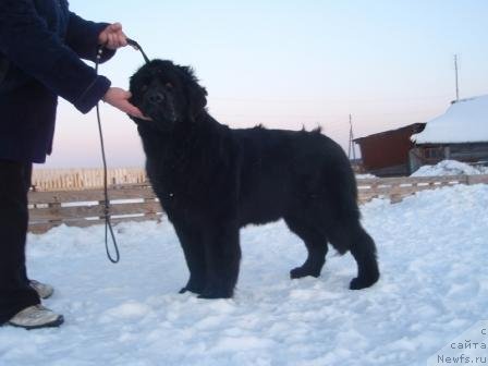 Фотография № 62165