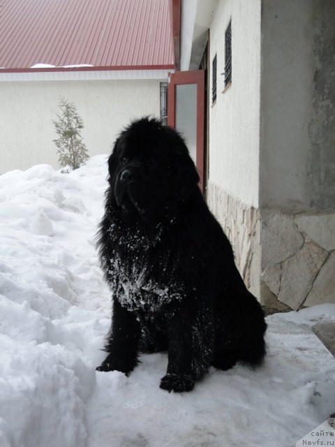 Фотография № 62190