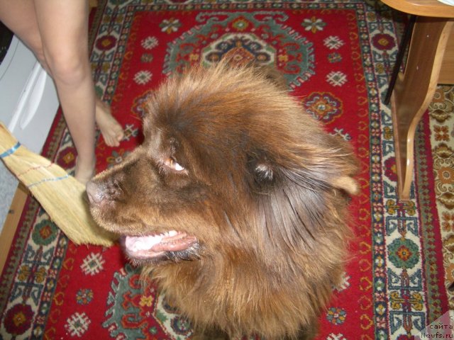 Фотография № 62221