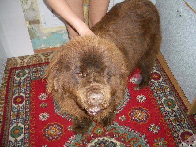 Фотография № 62222