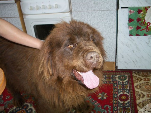 Фотография № 62223