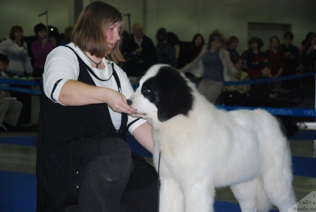 Фотография № 62241