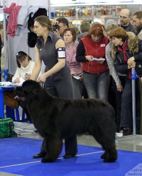 Фотография № 62246