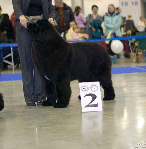 Фотография № 62254