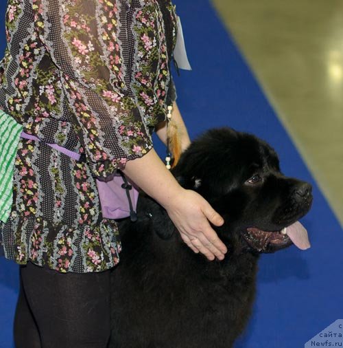 Фотография № 62276