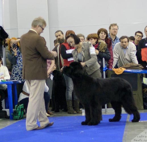 Фотография № 62279