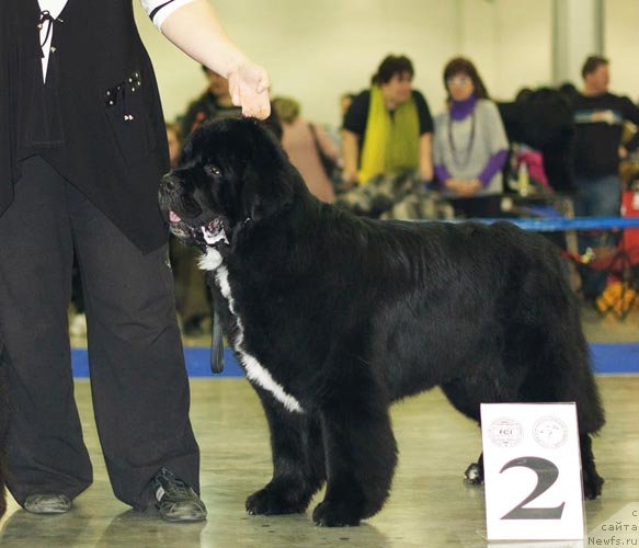 Фотография № 62283