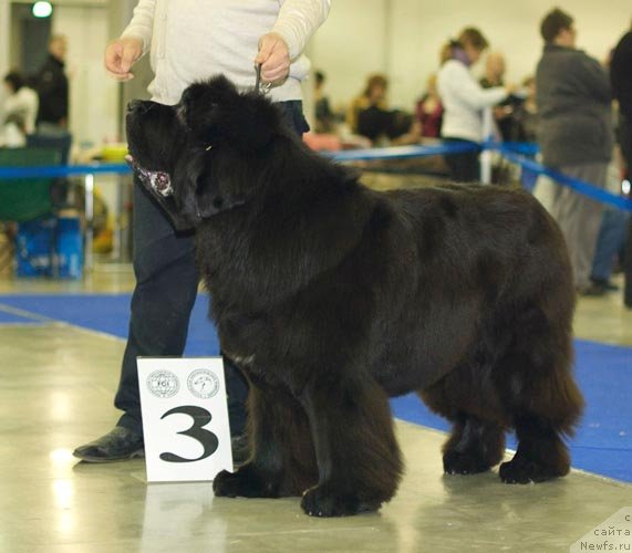 Фотография № 62285