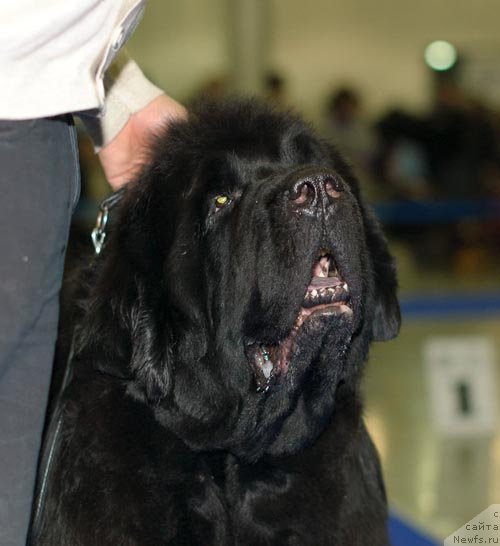 Фотография № 62287