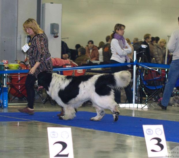 Фотография № 62288