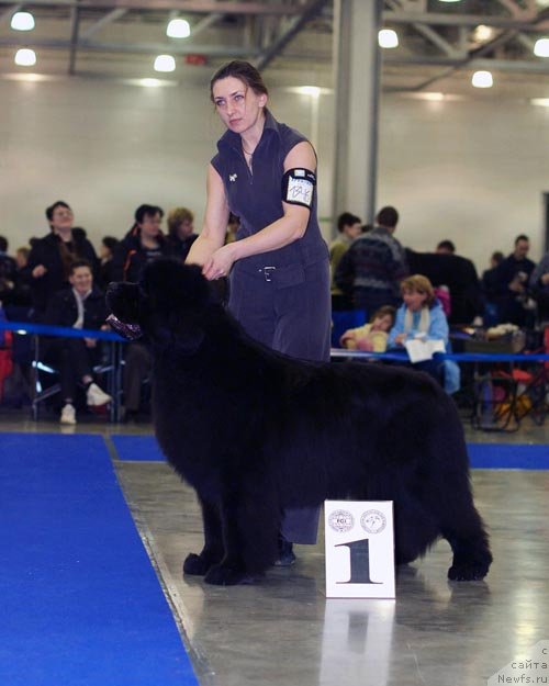 Фотография № 62291