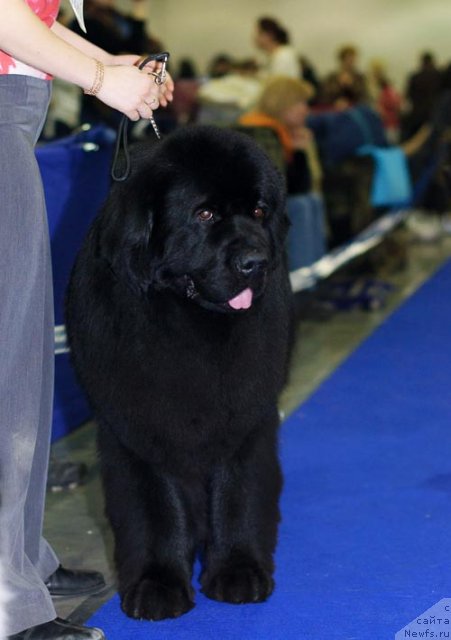 Фотография № 62302