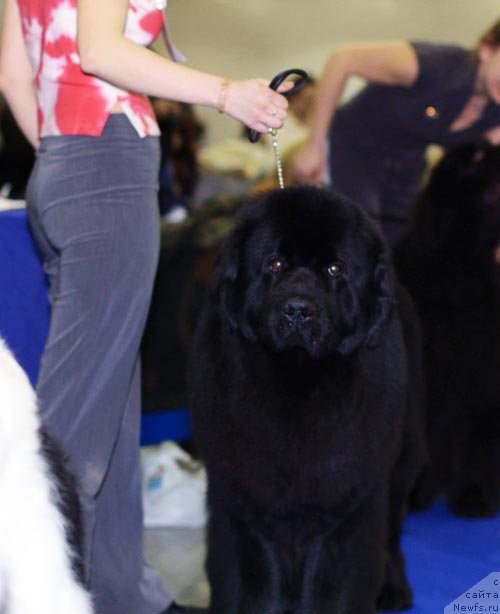 Фотография № 62305