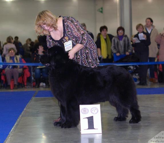 Фотография № 62310