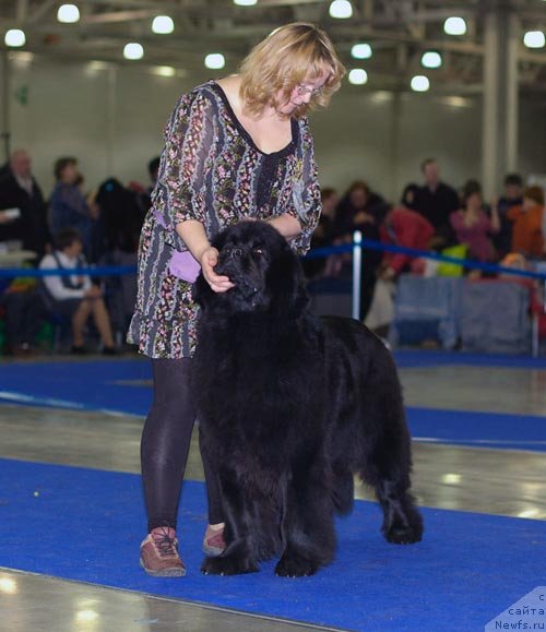 Фотография № 62313