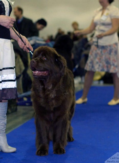 Фотография № 62319