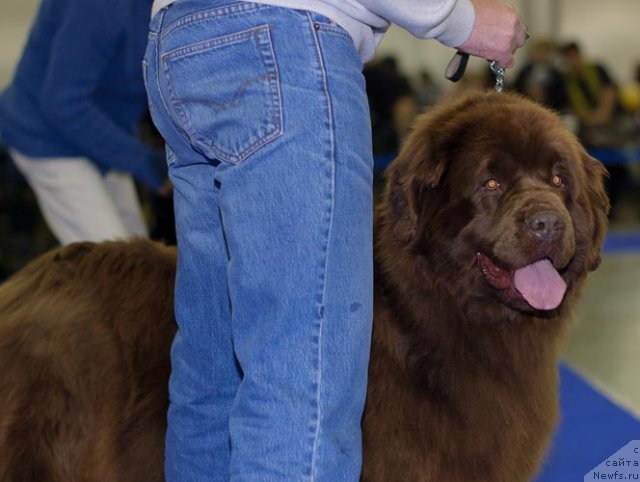 Фотография № 62327