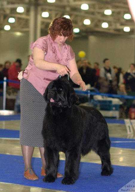 Фотография № 62329