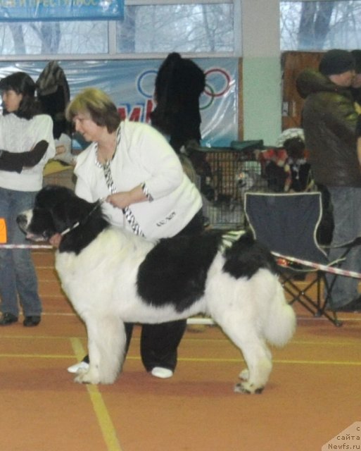 Фотография № 62332