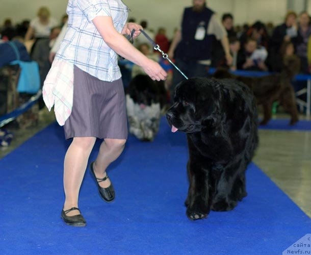 Фотография № 62333