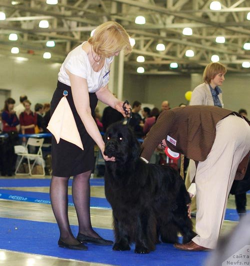 Фотография № 62335