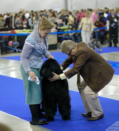 Фотография № 62350