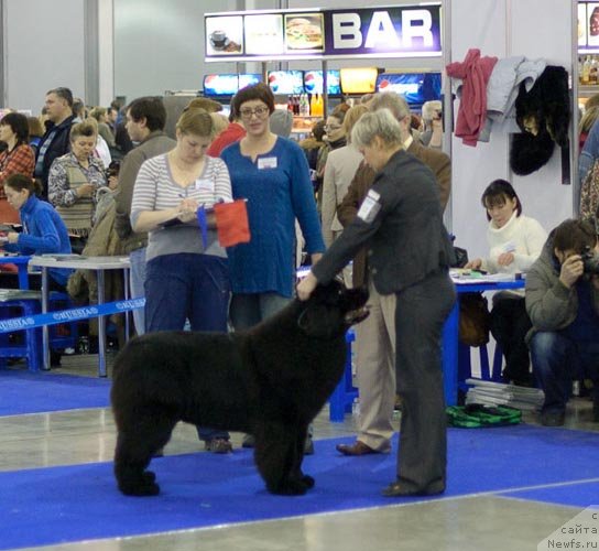 Фотография № 62352