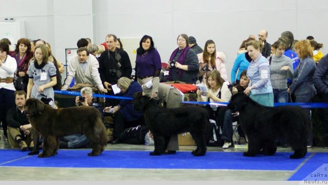 Фотография № 62353