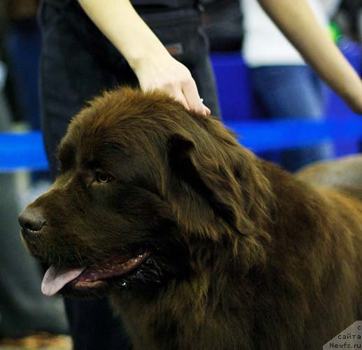 Фотография № 62357