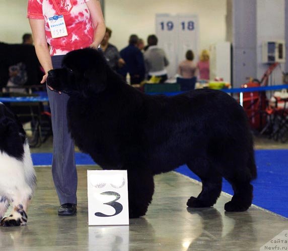 Фотография № 62360