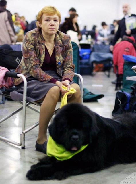 Фотография № 62399