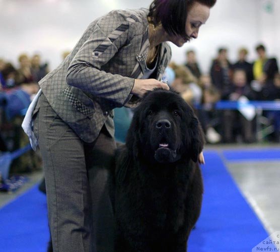 Фотография № 62410