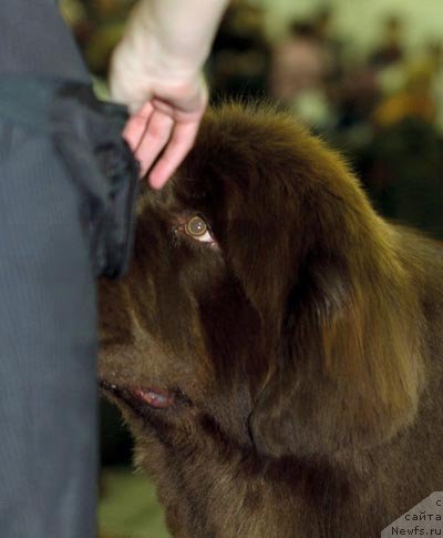 Фотография № 62417