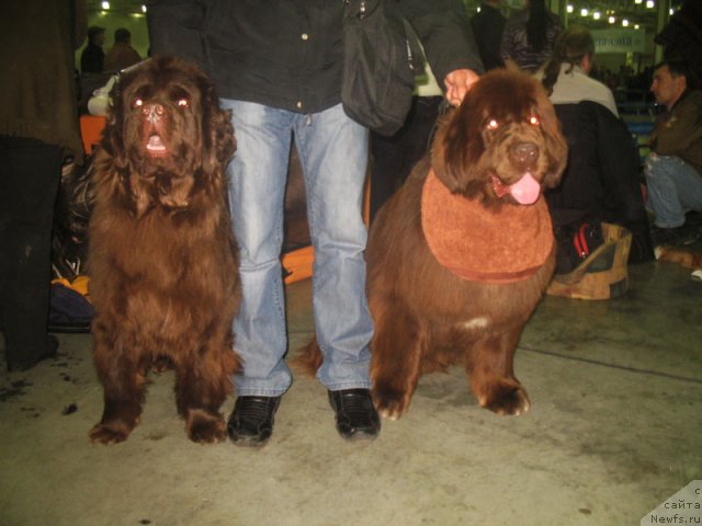 Фотография № 62453