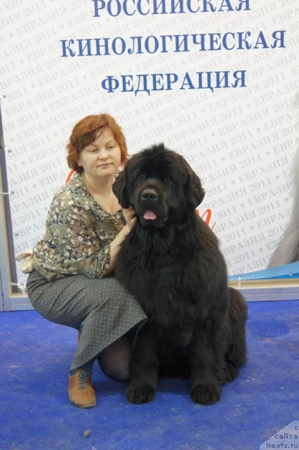 Фотография № 62463