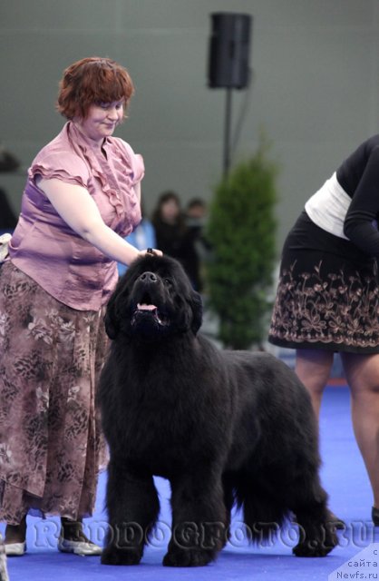 Фотография № 62468