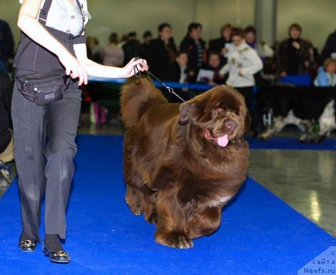 Фотография № 62469