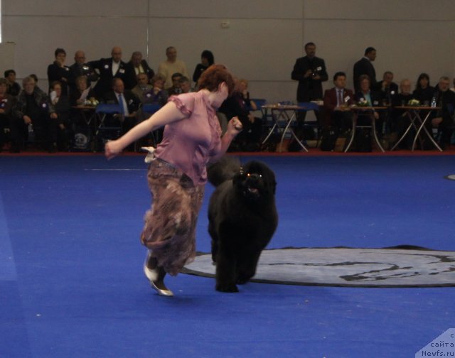 Фотография № 62471