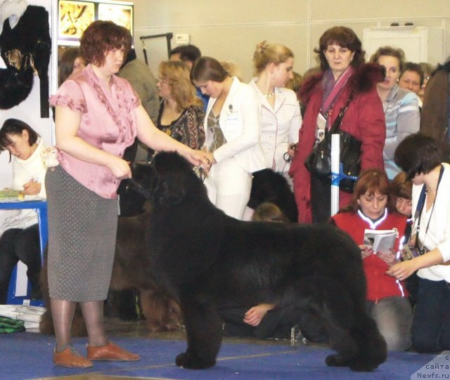 Фотография № 62473