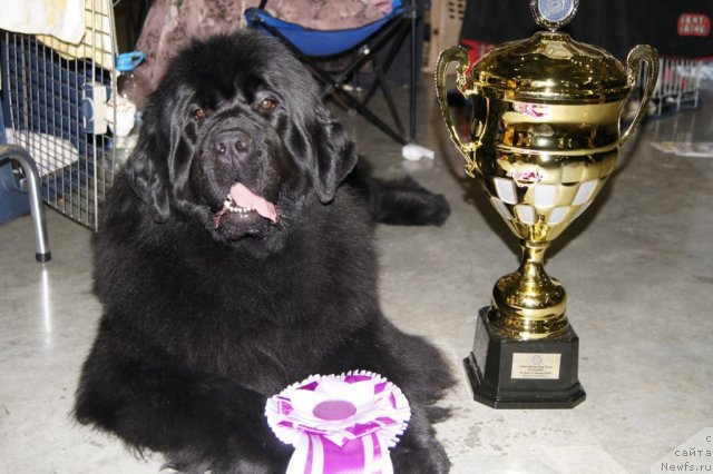 Фотография № 62479