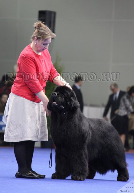 Фотография № 62495