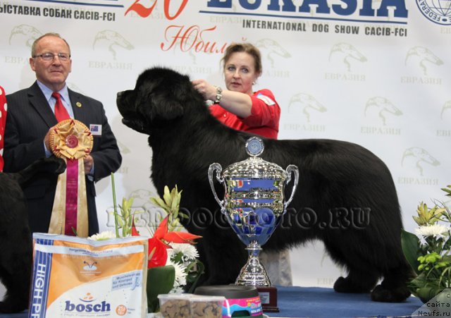 Фотография № 62496