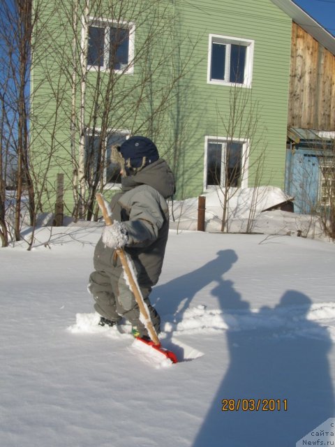 Фото: Ирина Нистратова