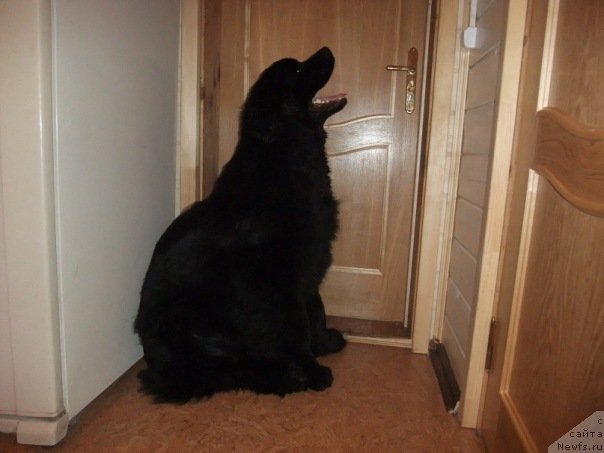 Фотография № 62524