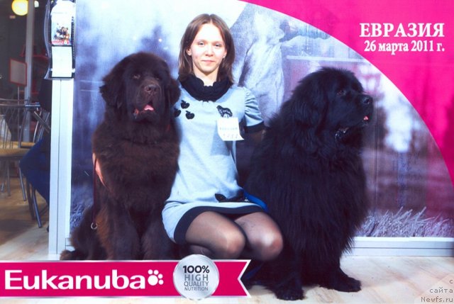 Фотография № 62531