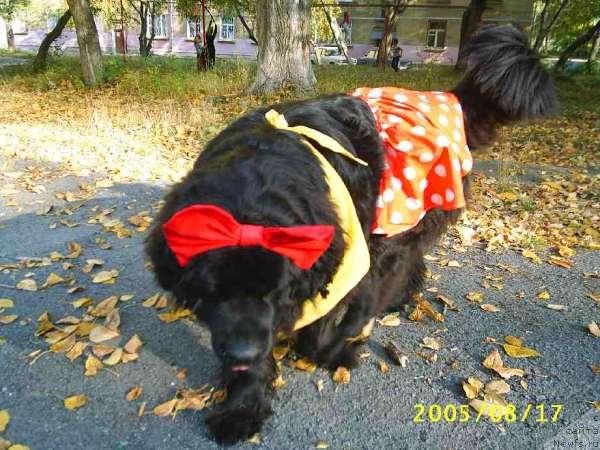 Фотография № 627