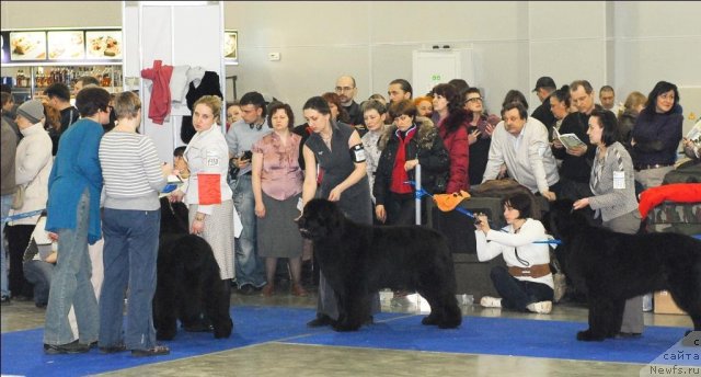 Фотография № 62708