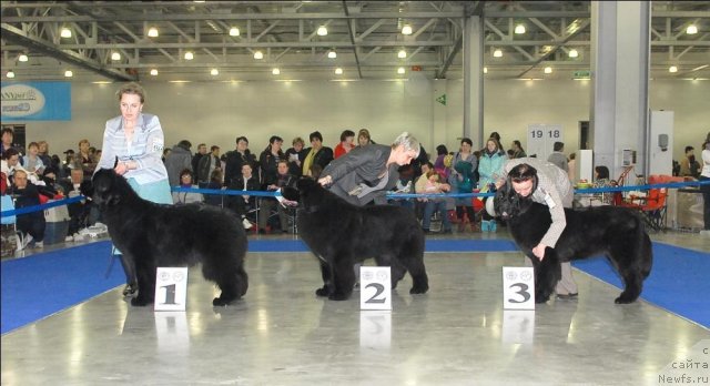 Фотография № 62711