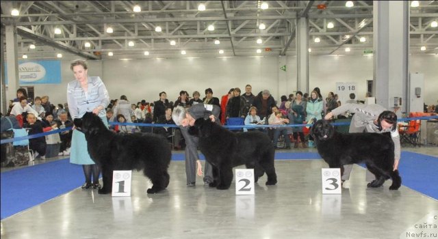 Фотография № 62712