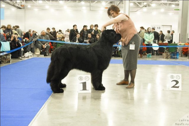 Фотография № 62756